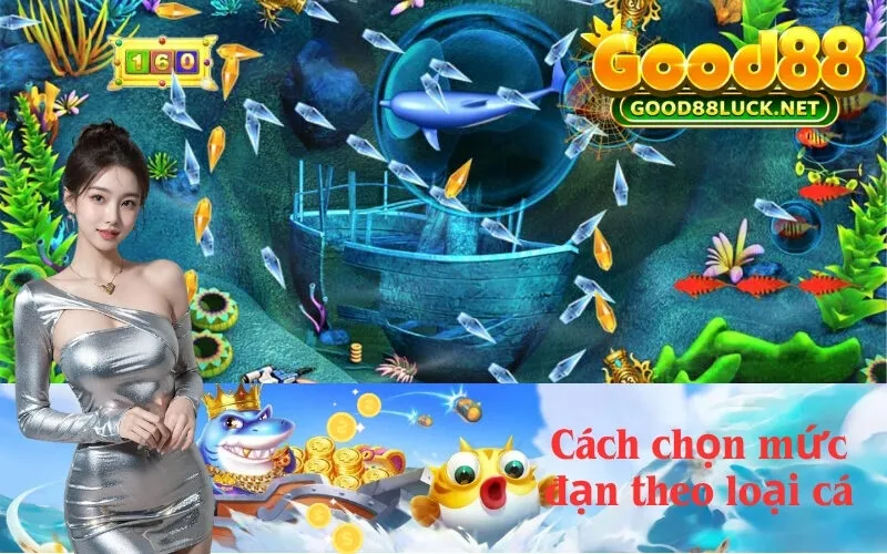 Cách chọn mức đạn theo loại cá