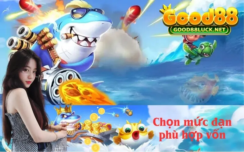Chọn mức đạn phù hợp vốn