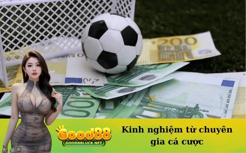 Kinh nghiệm từ chuyên gia cá cược
