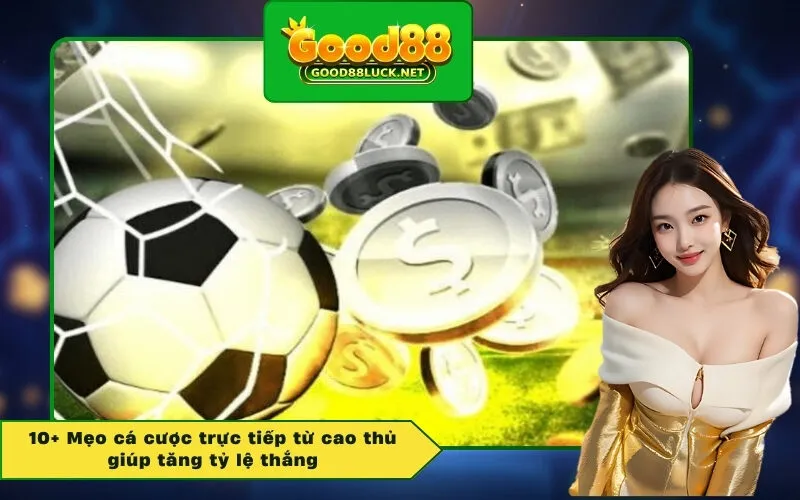 10+ Mẹo cá cược trực tiếp từ cao thủ giúp tăng tỷ lệ thắng