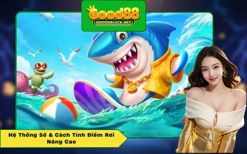 Hệ Thống Số & Cách Tính Điểm Rơi Nâng Cao