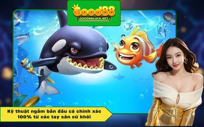 Kỹ thuật ngắm bắn đầu cá chính xác 100% từ các tay săn cừ khôi