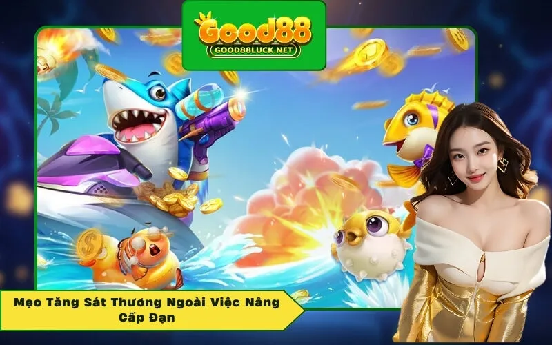 Mẹo Tăng Sát Thương Ngoài Việc Nâng Cấp Đạn