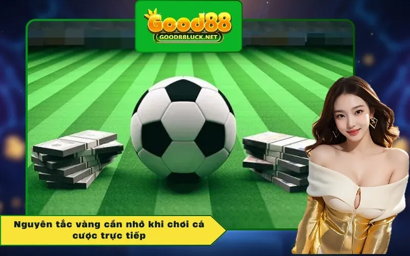 Nguyên tắc vàng cần nhớ khi chơi cá cược trực tiếp