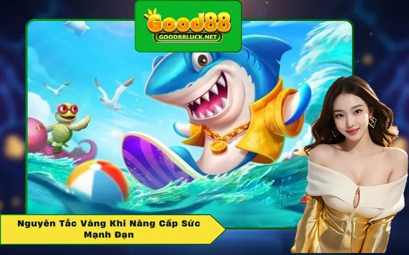 Nguyên Tắc Vàng Khi Nâng Cấp Sức Mạnh Đạn