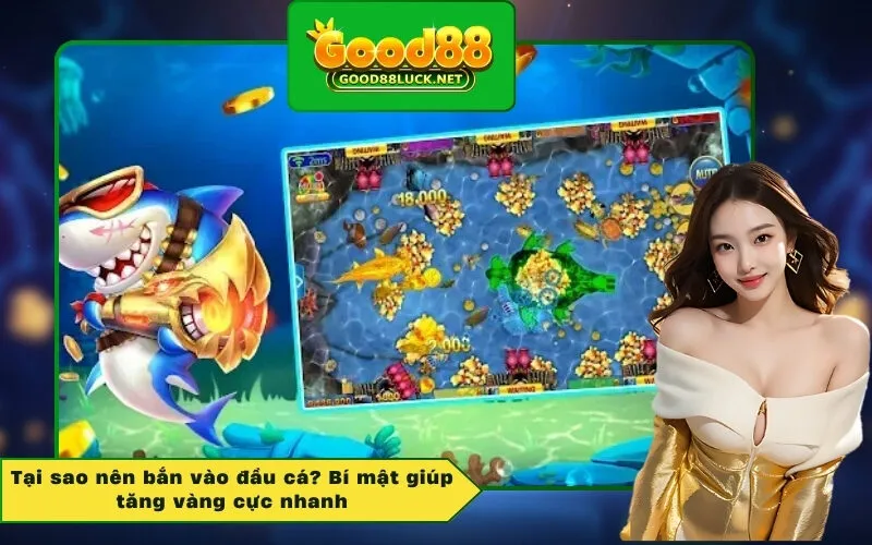 Tại sao nên bắn vào đầu cá? Bí mật giúp tăng vàng cực nhanh